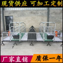 養(yǎng)豬設(shè)備升級(jí) 從母豬產(chǎn)床到全復(fù)合板雙體產(chǎn)床，助力高效養(yǎng)殖