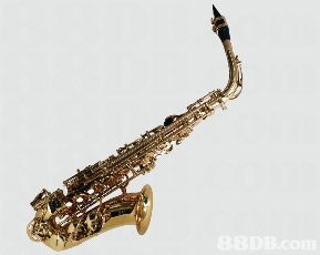 我們專為學校提供各類中西優(yōu)貿的入門樂器 樂器配件及用品,并以直銷價發(fā)售,多年來深受全港多間學校歡迎并支持使用,信心保證